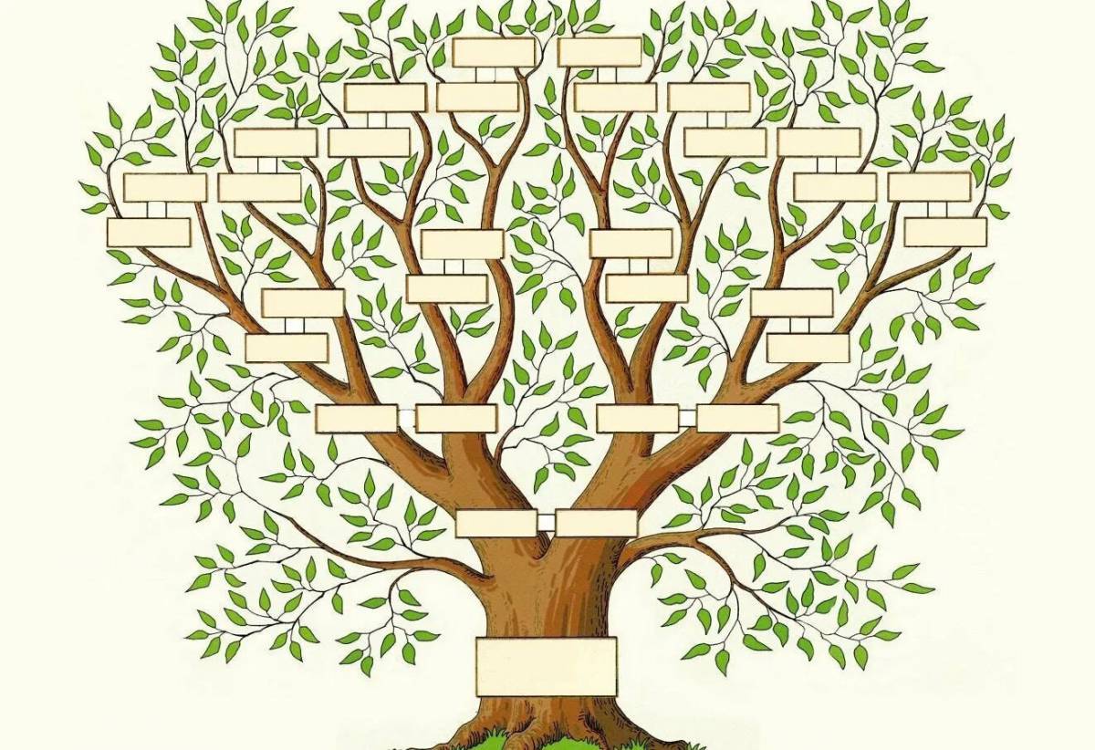 Генеалогическое дерево #29