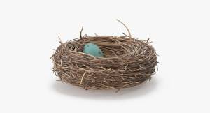 Раскраска гнездо для детей #3 #250785