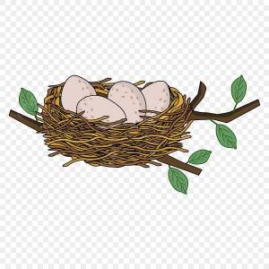 Раскраска гнездо для детей #18 #250800
