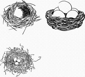 Раскраска гнездо для детей #24 #250806