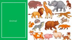 Раскраска дикие животные для детей дошкольного возраста #37 #267505