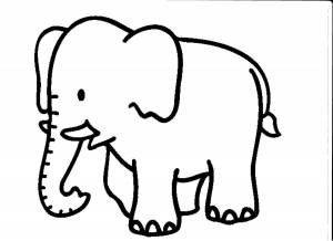 Раскраска слон для детей #24 #25051