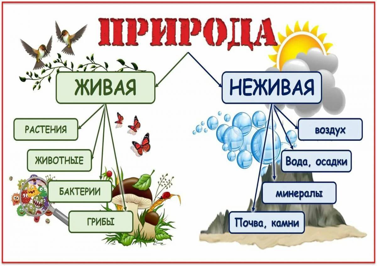 Картинки неживой природы