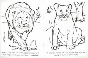 Раскраска животные красной книги россии для детей #17 #307945