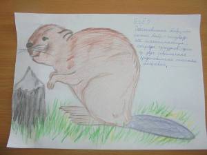 Раскраска животные красной книги россии для детей #33 #307961