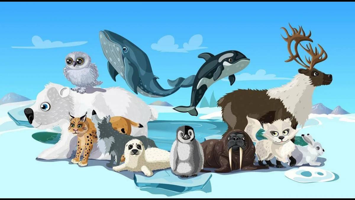 Животные антарктиды для детей #5