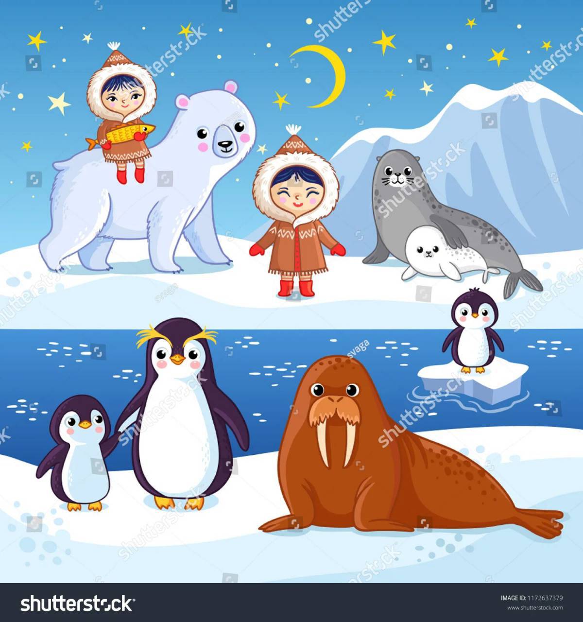Животные антарктиды для детей #10