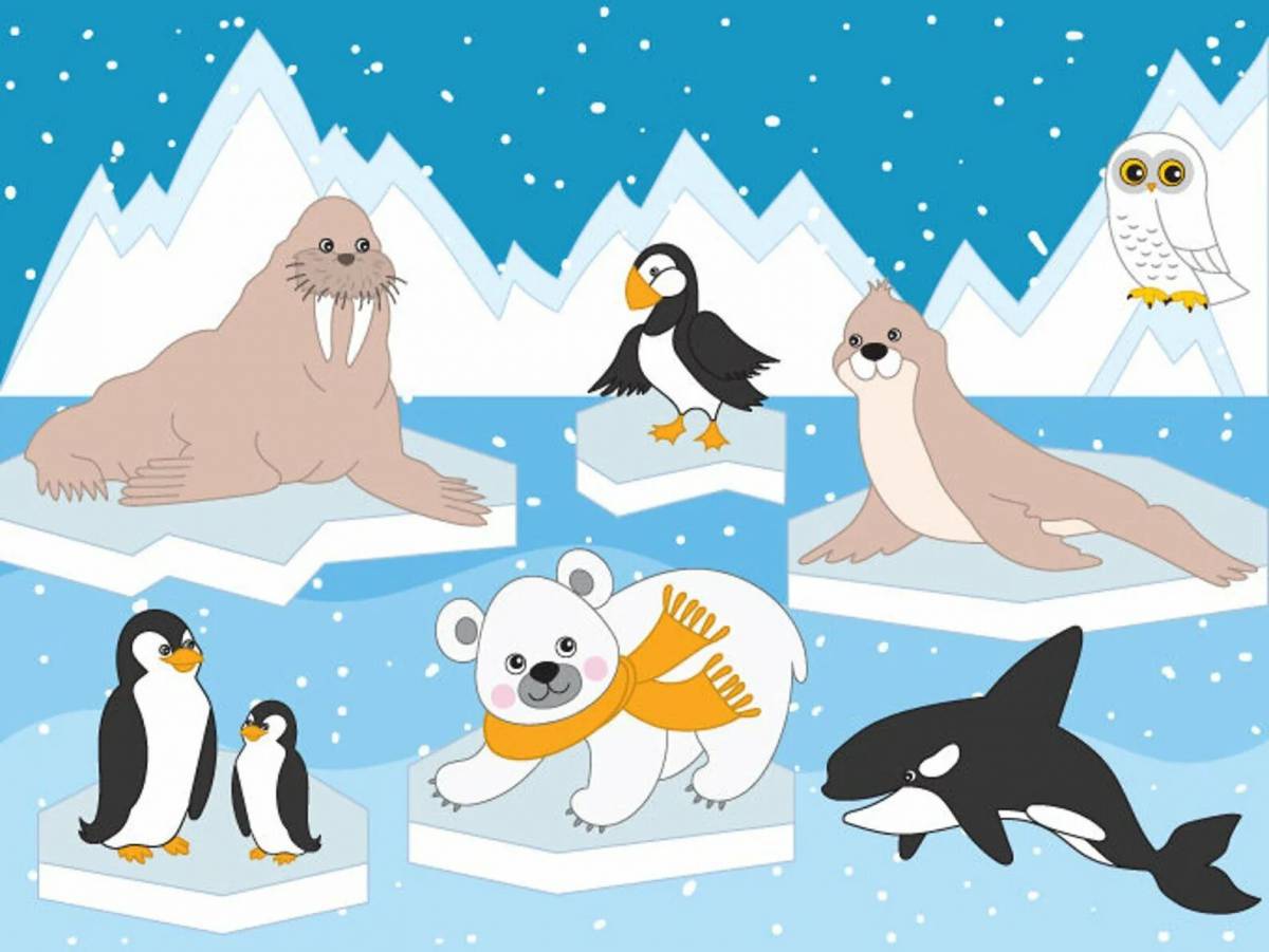 Животные антарктиды для детей #12