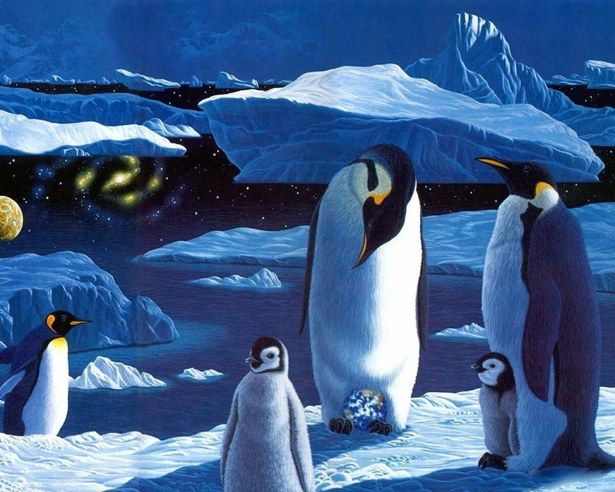 Животные антарктиды для детей #32