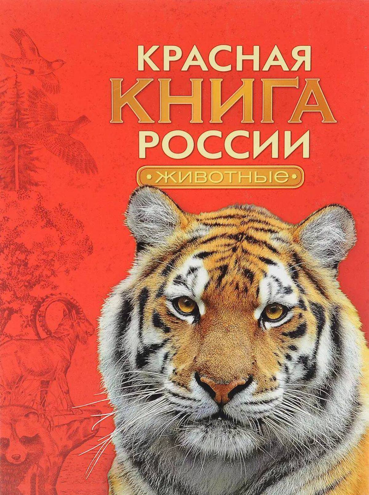 Животные красной книги россии для детей #4