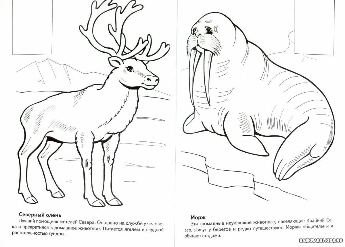 Животные красной книги россии для детей #13