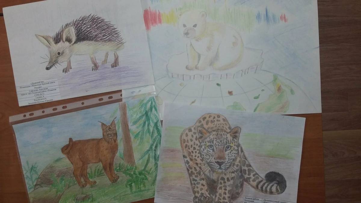 Животные красной книги россии для детей #15