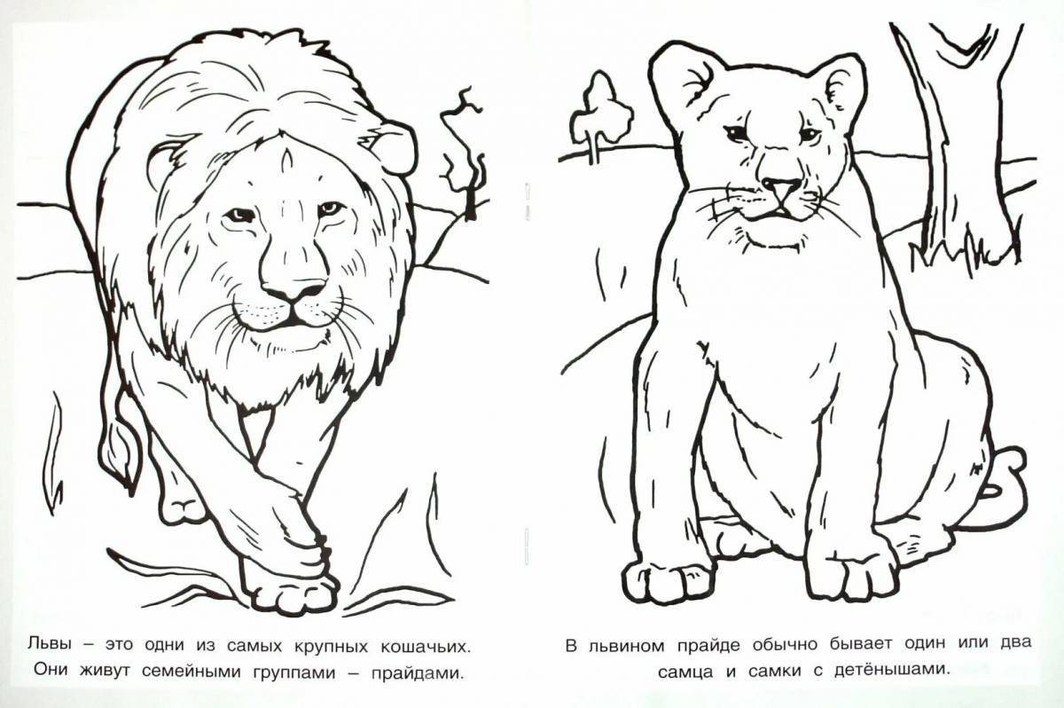 Животные красной книги россии для детей #17