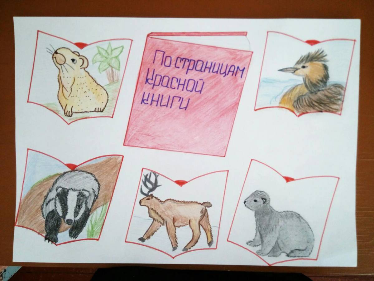 Животные красной книги россии для детей #18