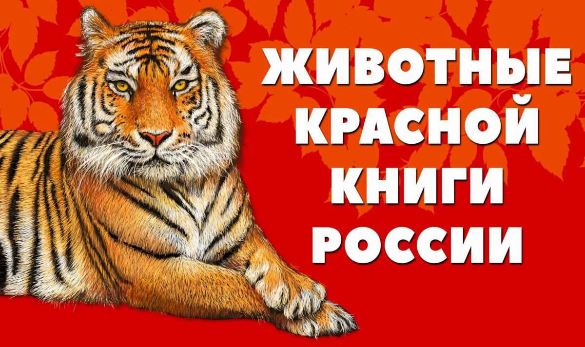 Животные красной книги россии для детей #24