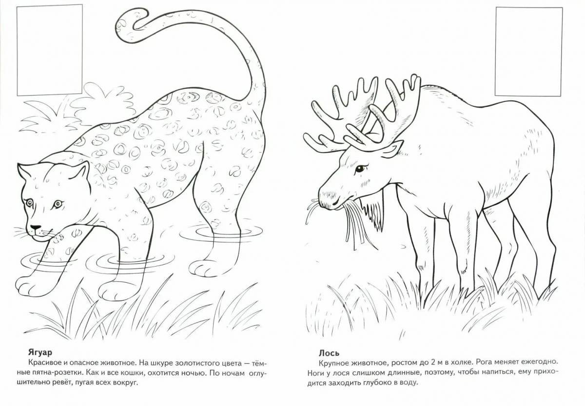 Животные красной книги россии для детей #31