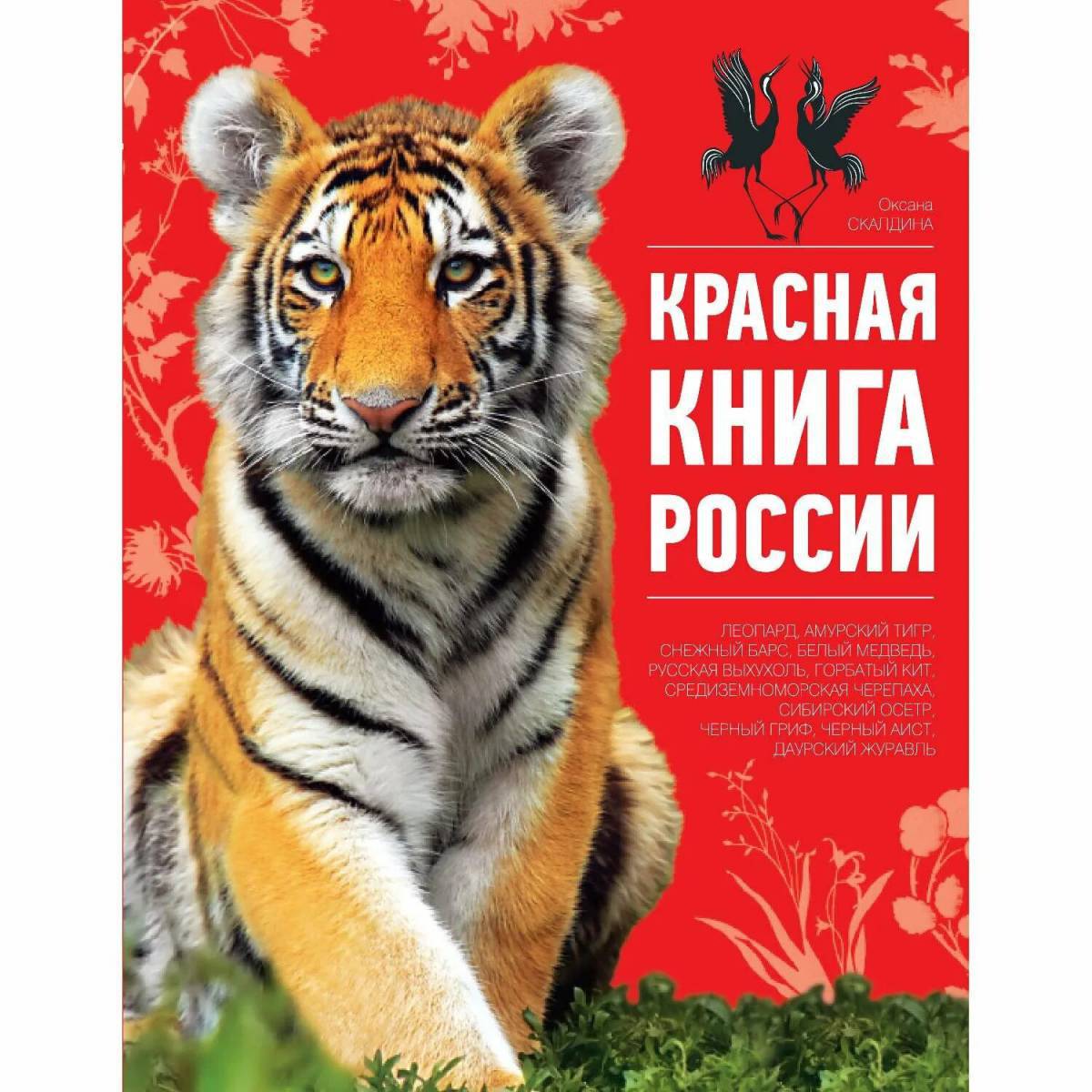 Животные красной книги россии для детей #36
