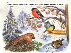 Раскраска зимние птицы для детей #36 #316610
