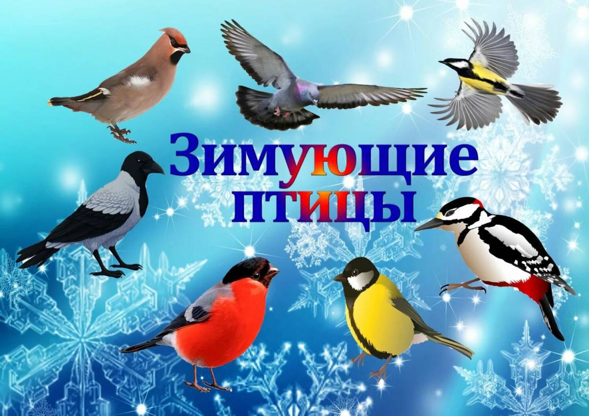 Зимние птицы для детей #21