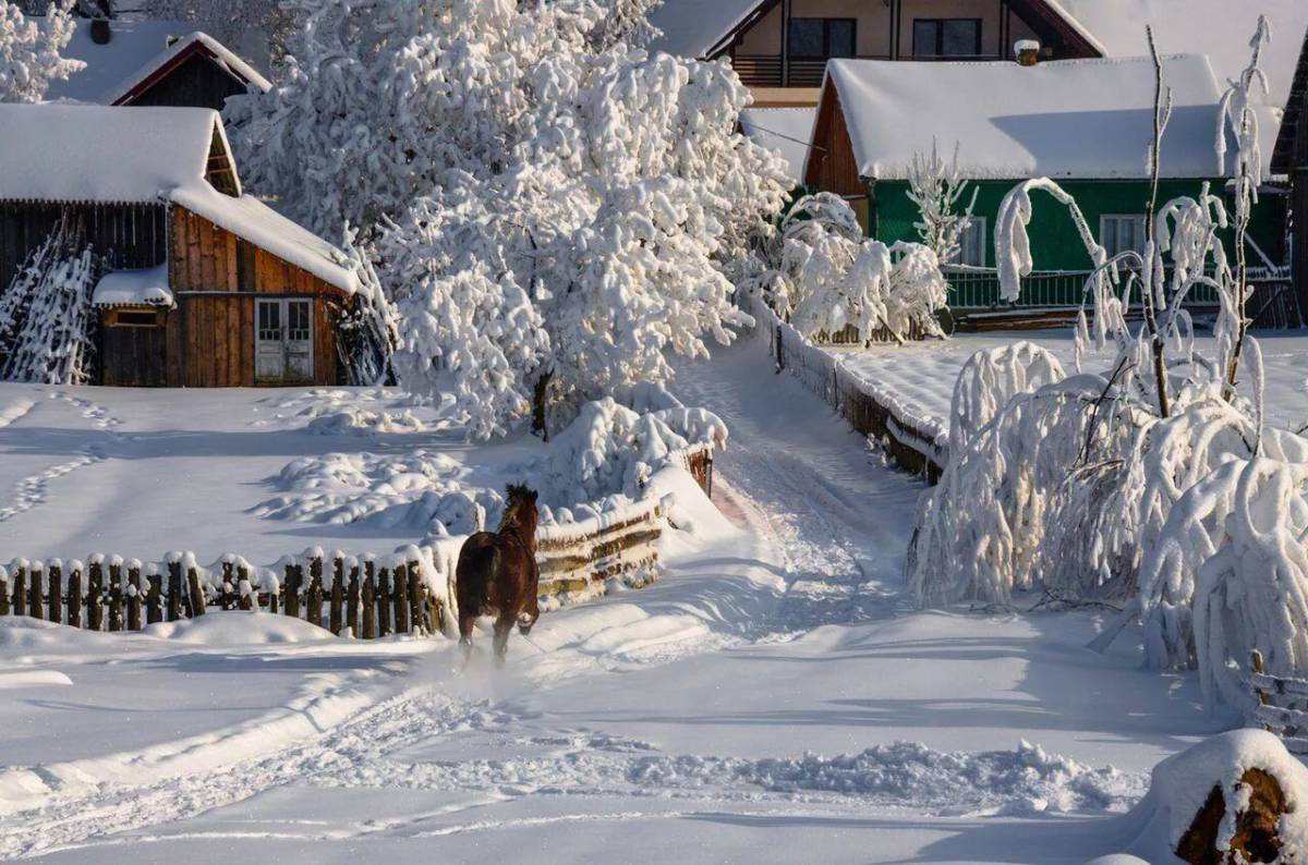 Зимняя деревня #10