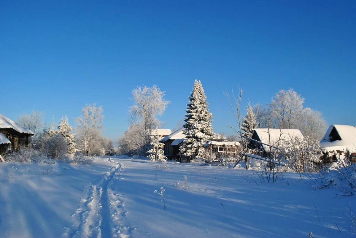 Зимняя деревня #14