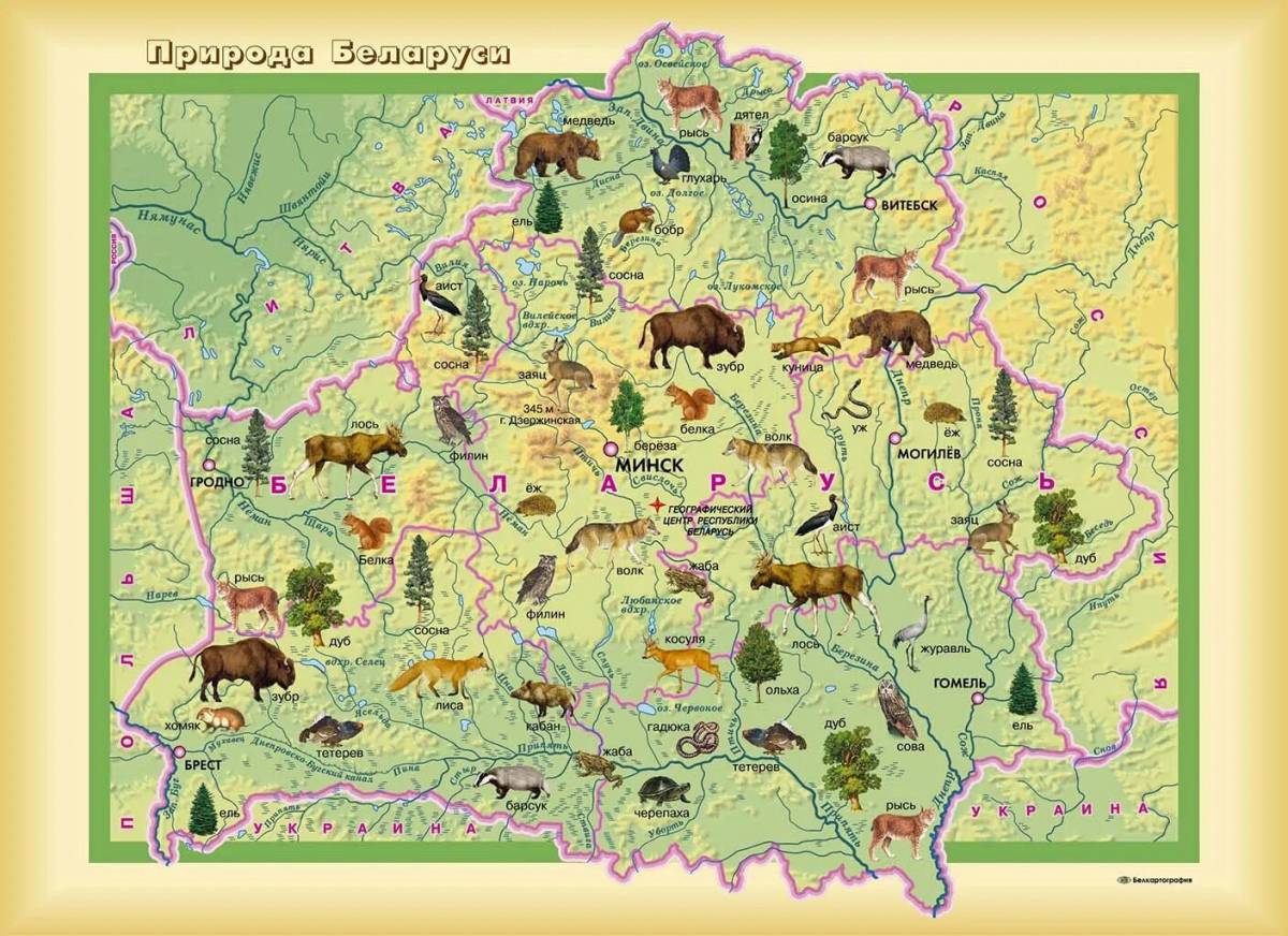 Карта беларуси #10