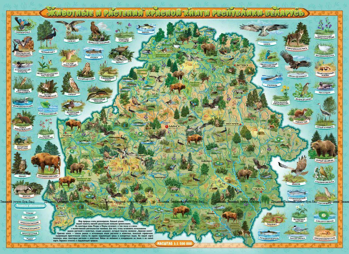 Карта беларуси #17