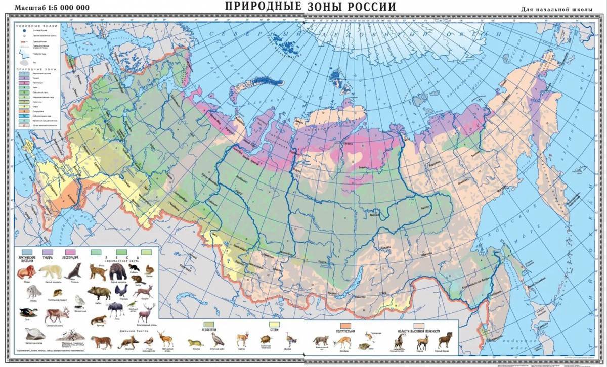 Карта природных зон россии 4 класс окружающий мир #15
