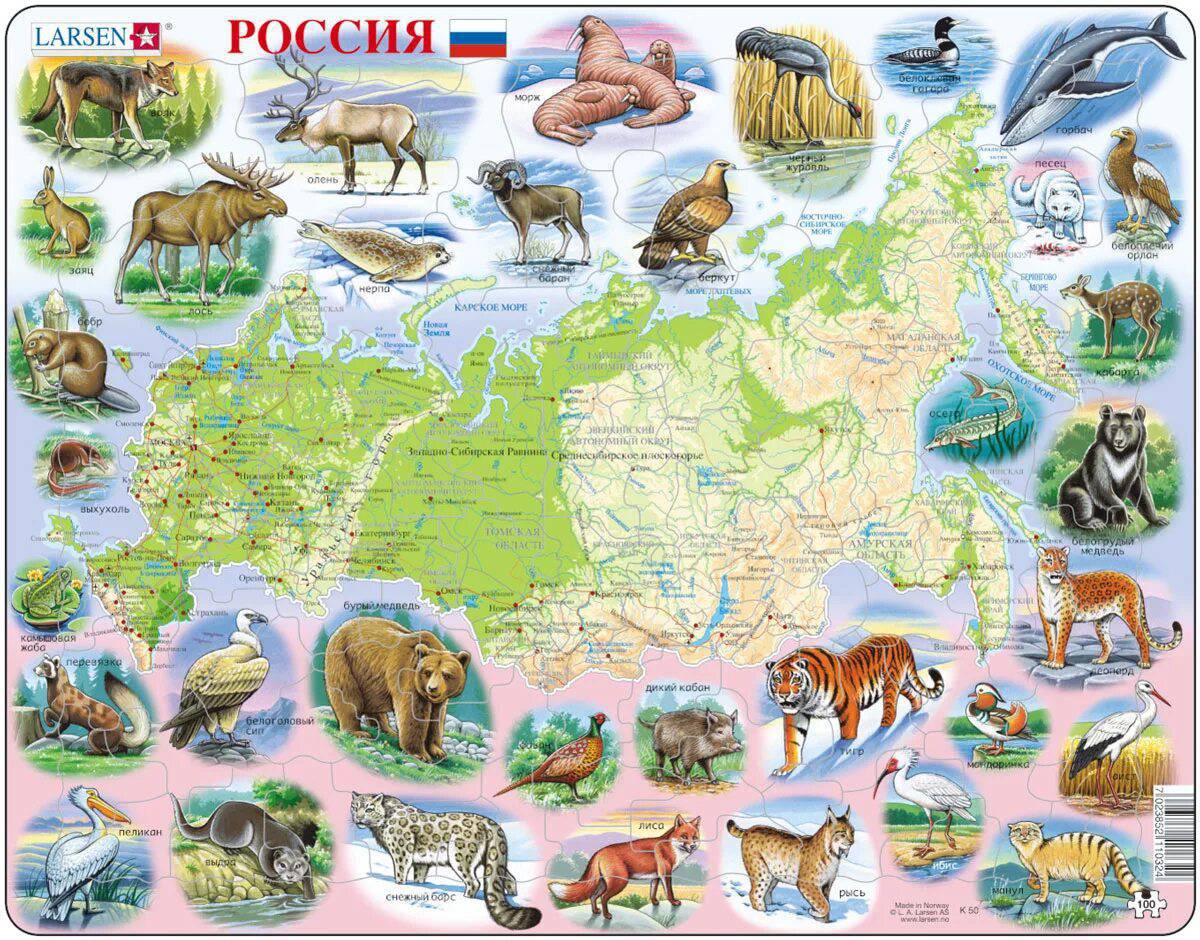 Карта россии для детей дошкольного возраста #31