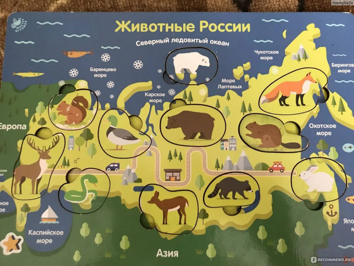 Карта россии с животными #25