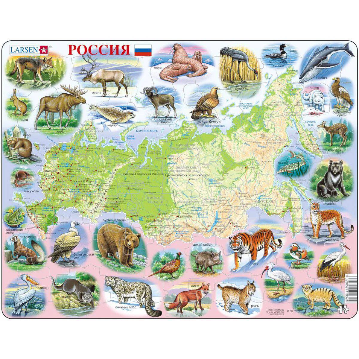 Карта россии с животными #26