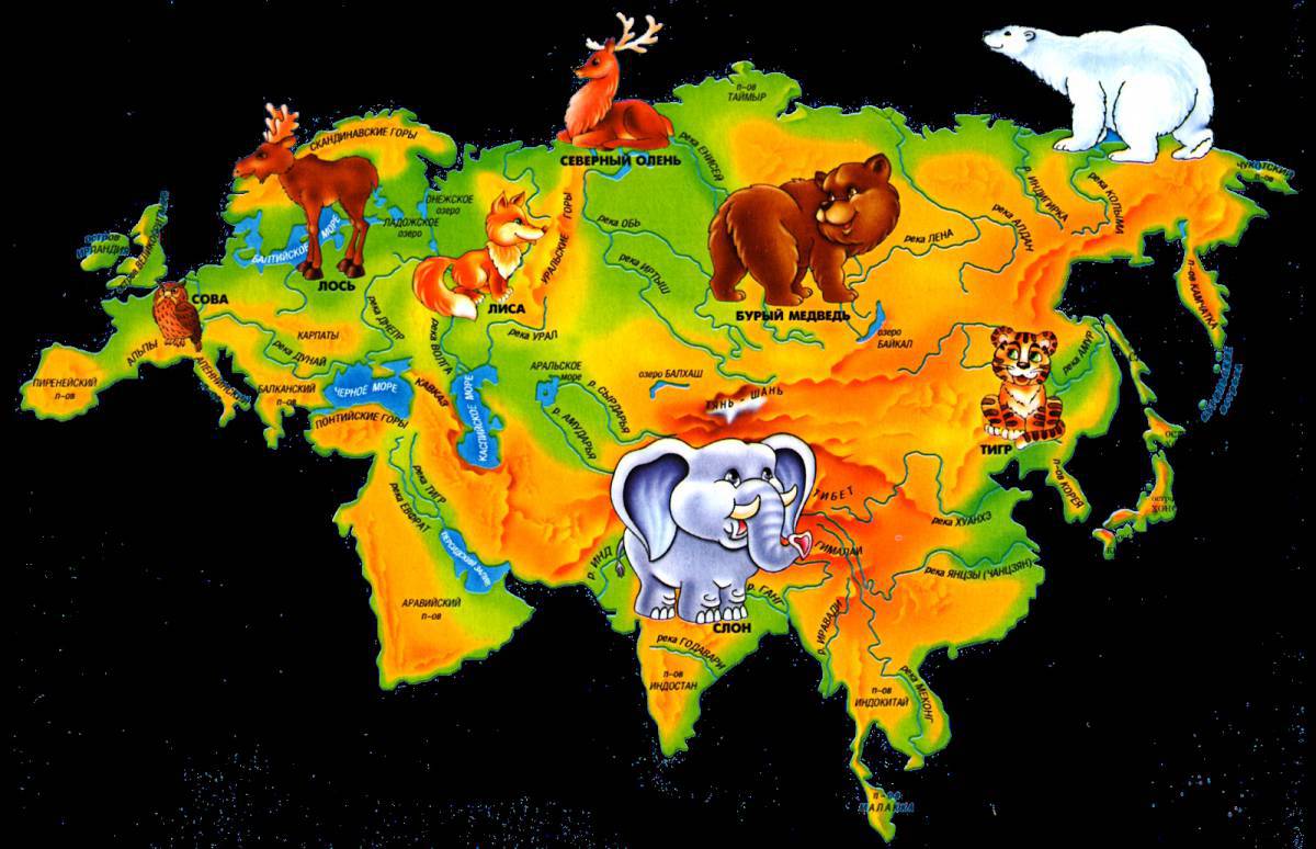 Карта россии с животными #27