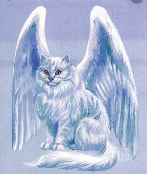 Раскраска котик с крыльями #2 #350573