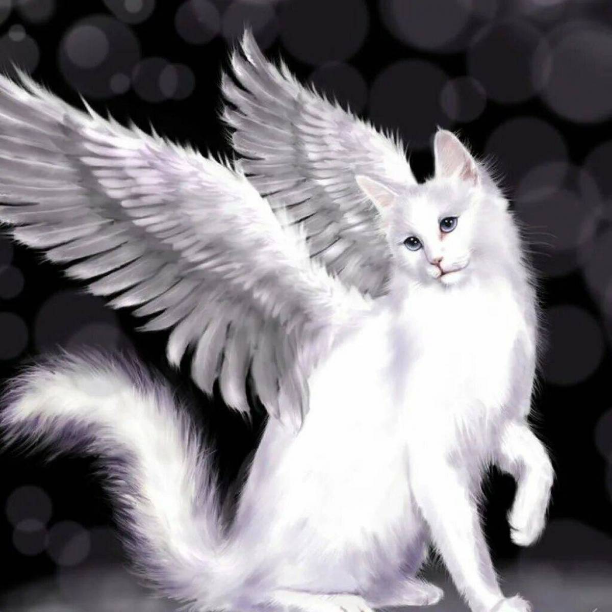 Котик с крыльями #1
