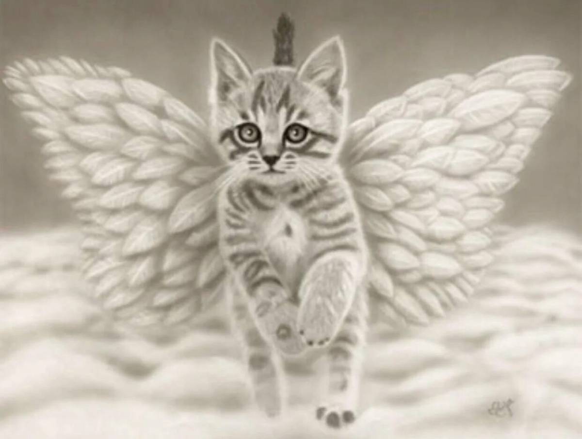Котик с крыльями #13