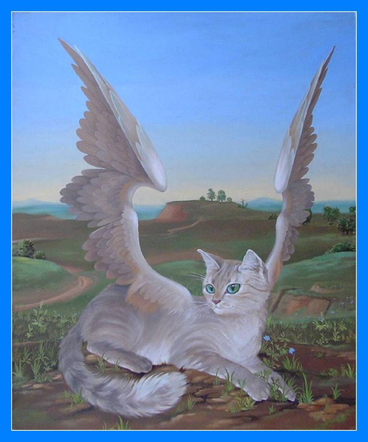 Котик с крыльями #22
