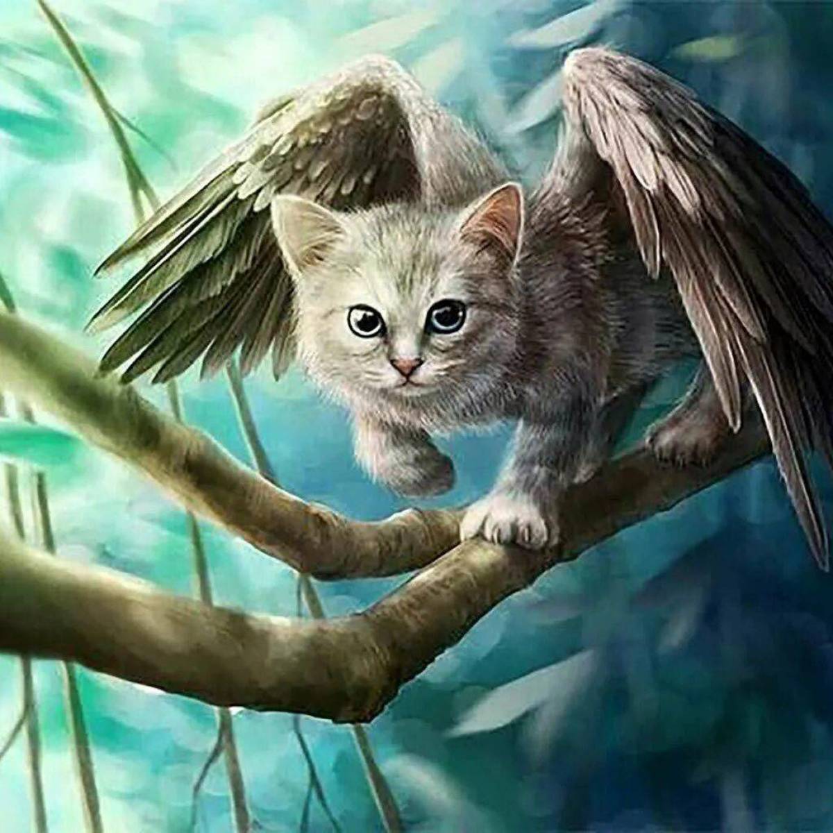 Котик с крыльями #35