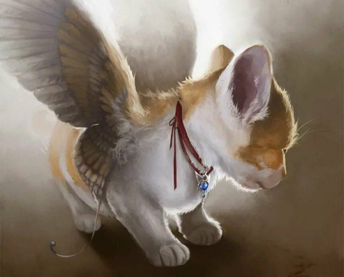 Котик с крыльями #38