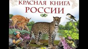 Раскраска красная книга россии животные и растения #32 #354969