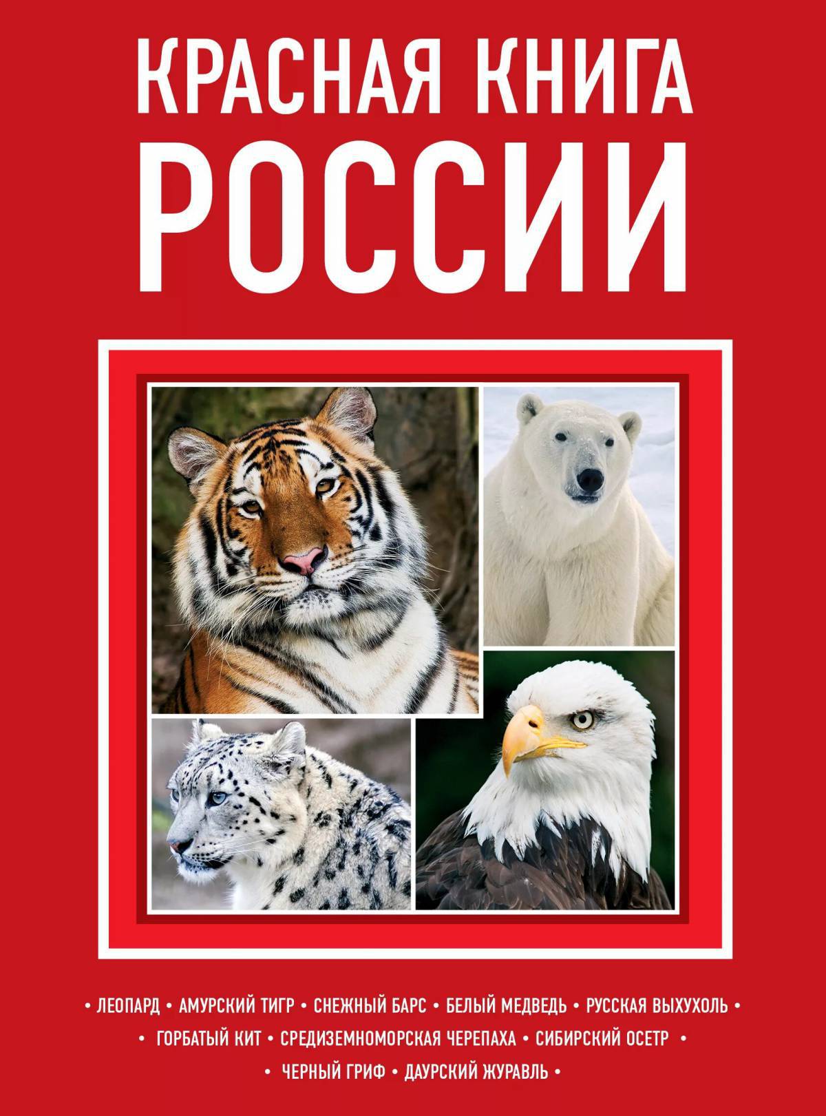 Красная книга россии животные и растения #4