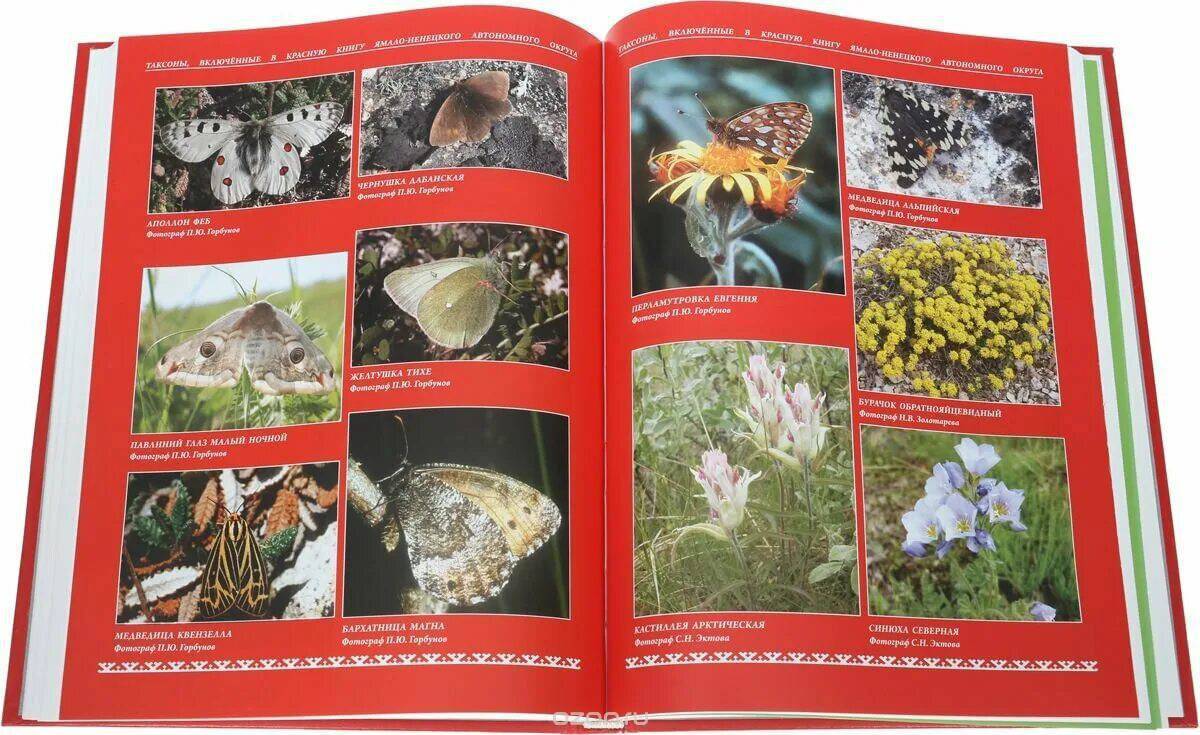 Красная книга россии животные и растения #7