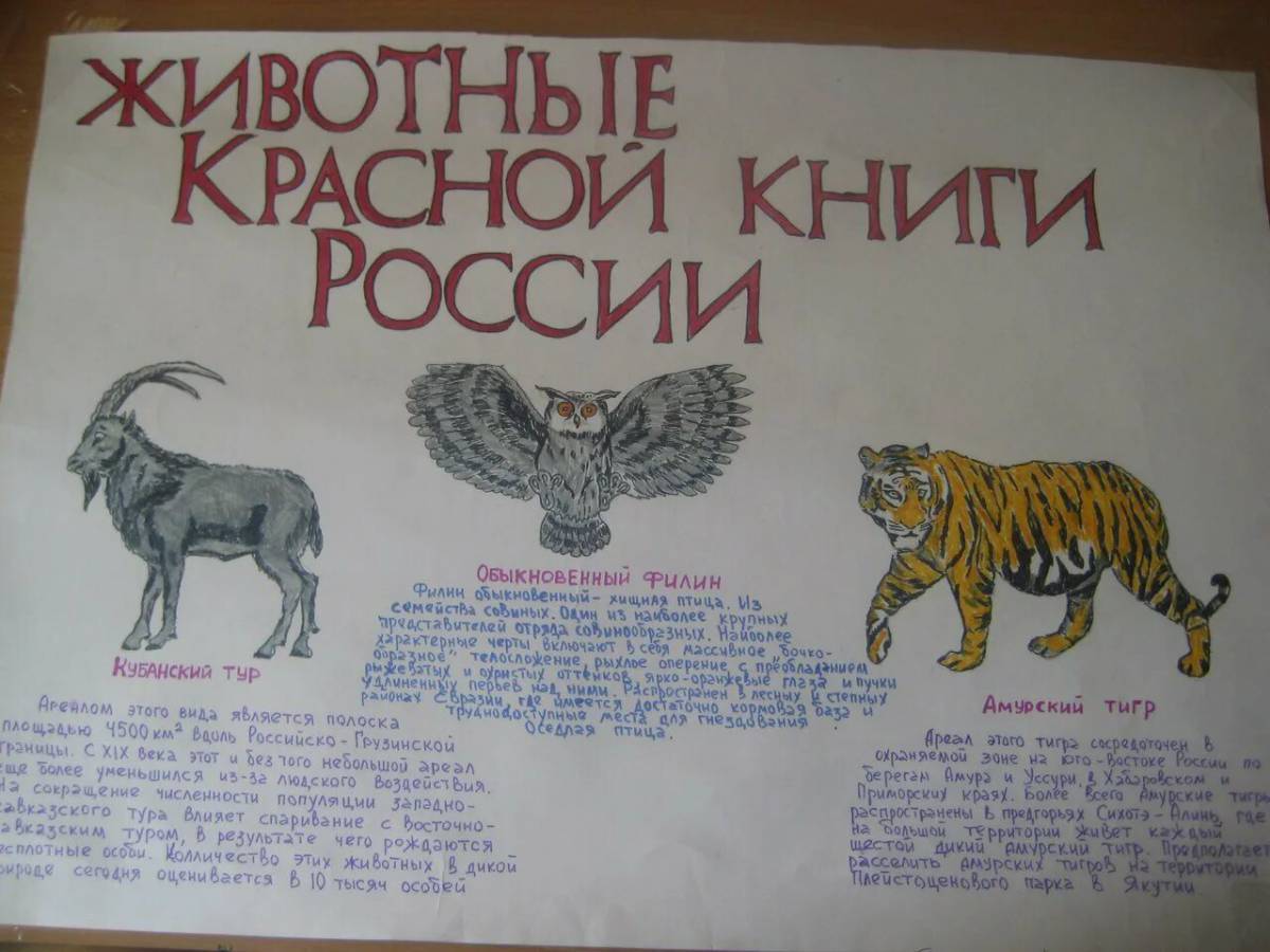 Красная книга россии животные и растения #9