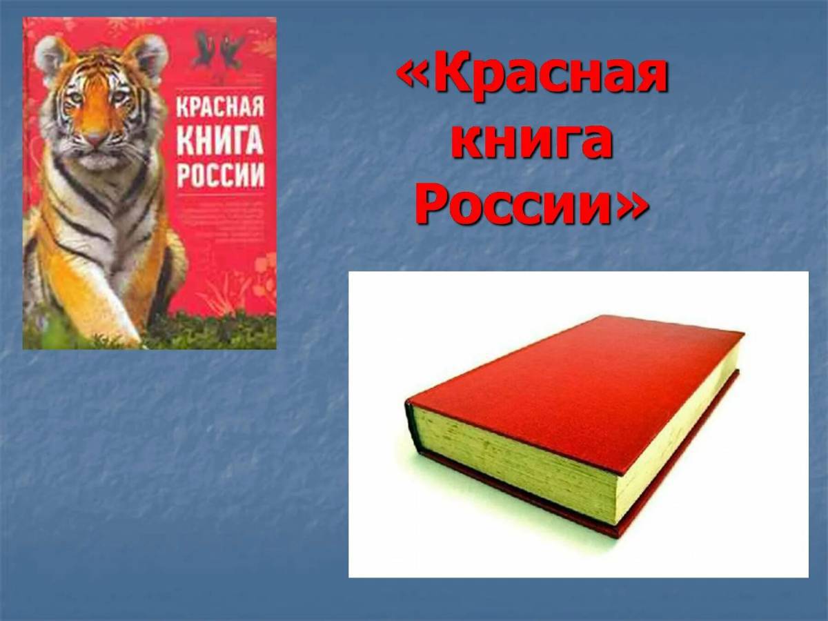 Красная книга россии животные и растения #29