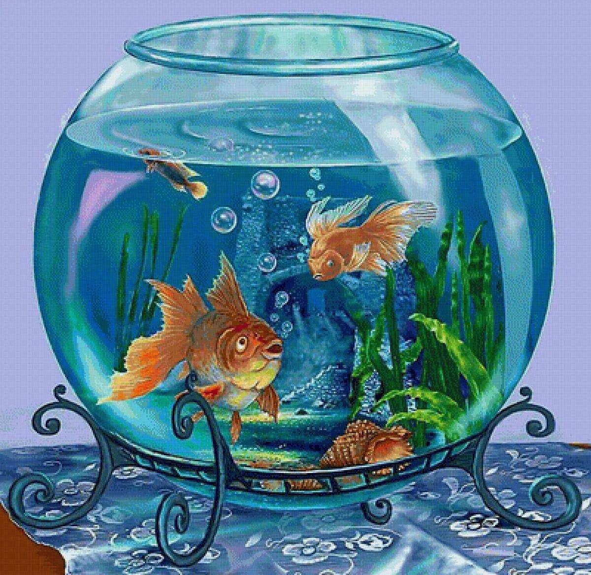 Аквариум с рыбками для детей #8