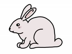 Раскраска кролик рисунок #1 #356498