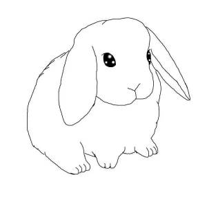 Раскраска кролик рисунок #2 #356499