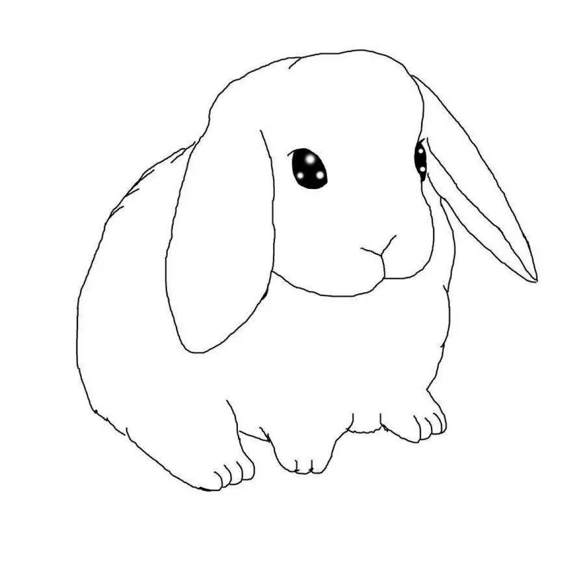 Кролик рисунок #2