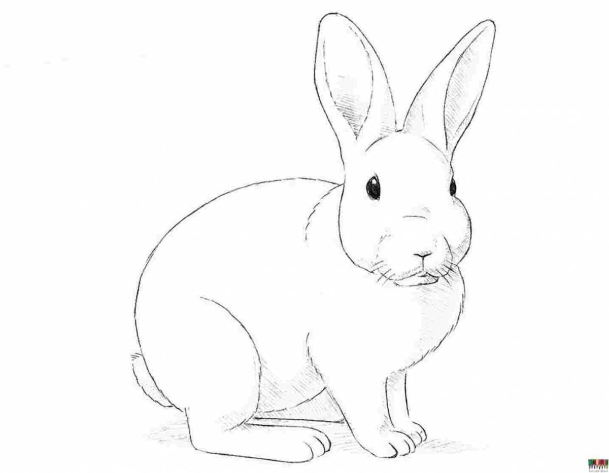 Кролик рисунок #24