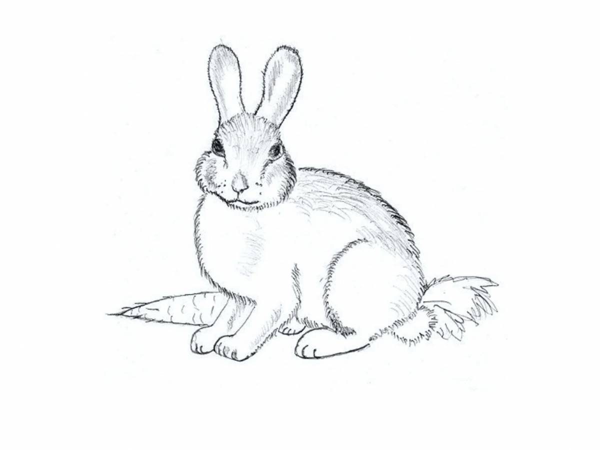 Кролик рисунок #28