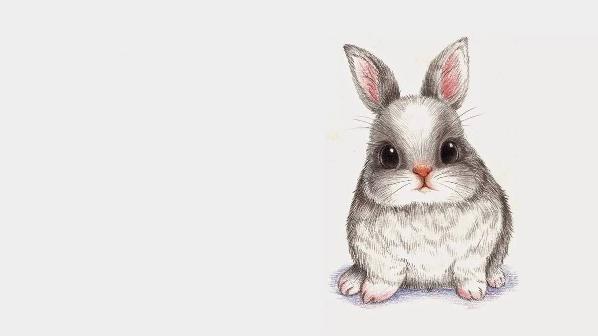 Кролик рисунок #35